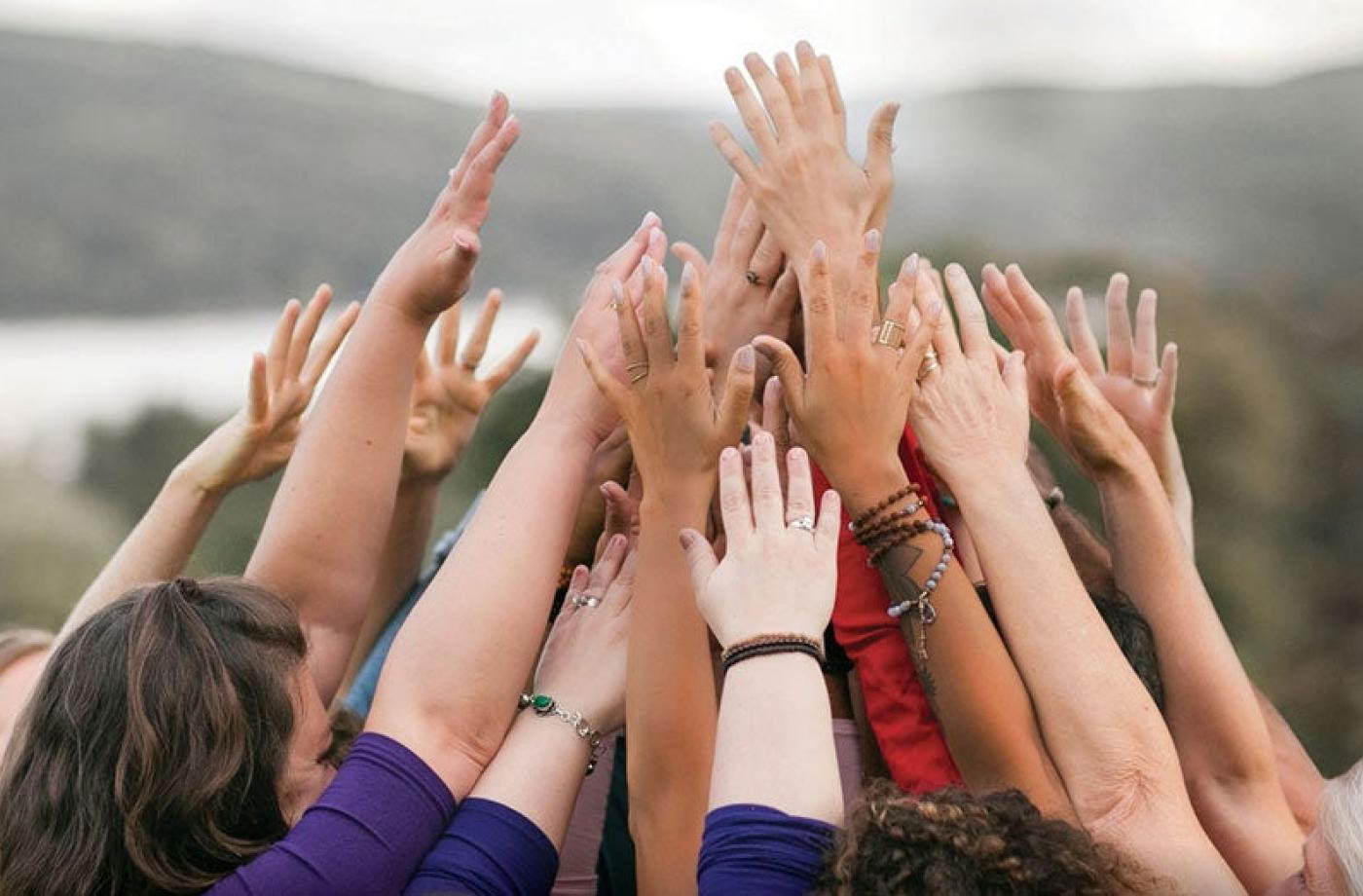 Sanando la raíz: un retiro de sangha BIPOC