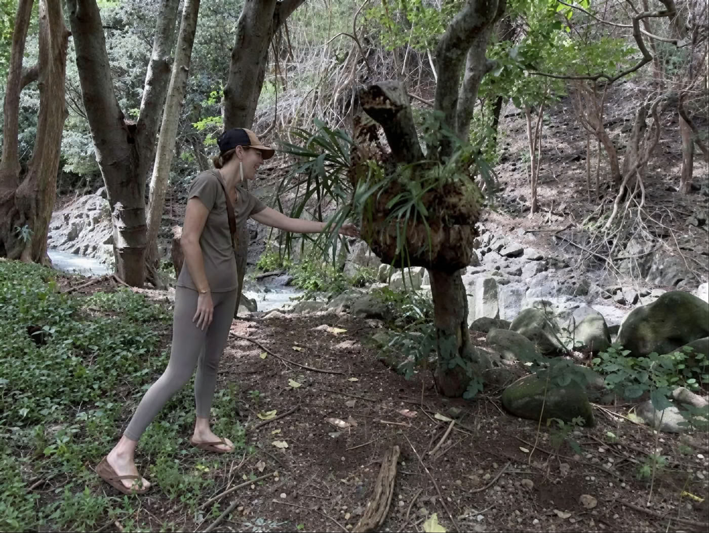 Recorrido por el vivero del jardín sagrado