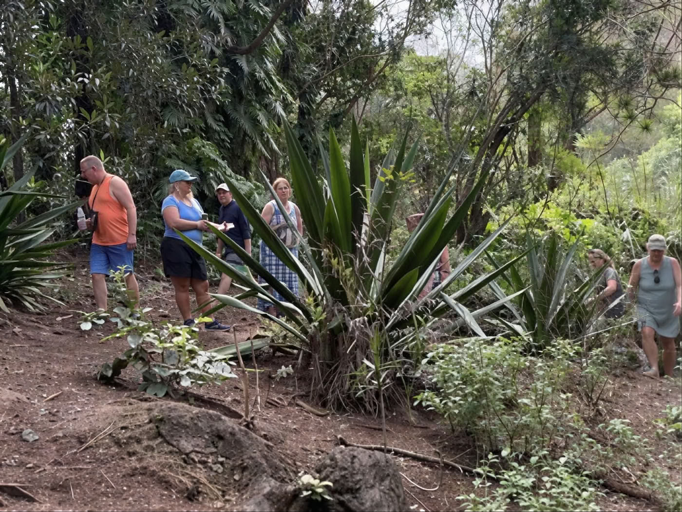 Recorrido por el vivero del jardín sagrado