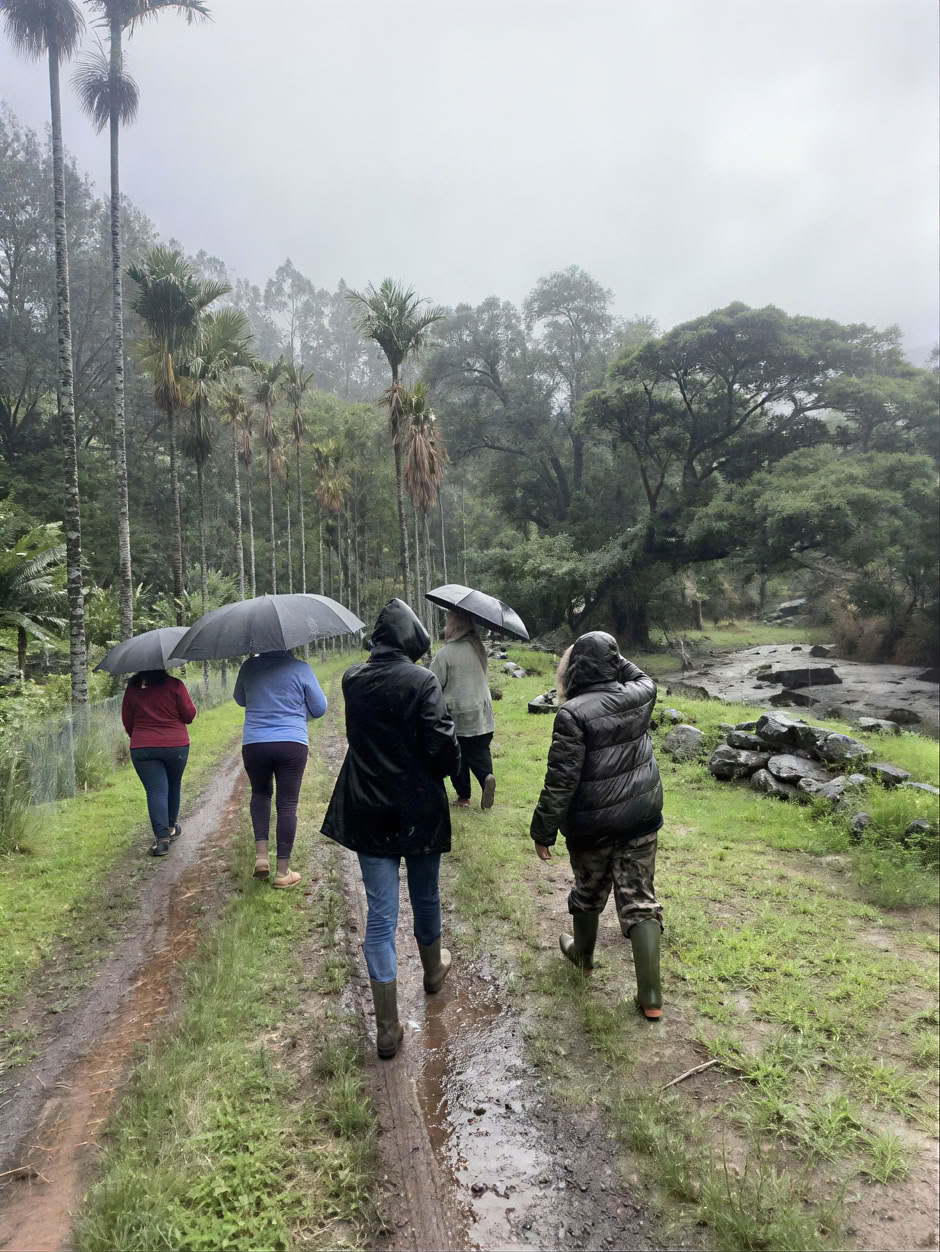Recorrido por el vivero del jardín sagrado