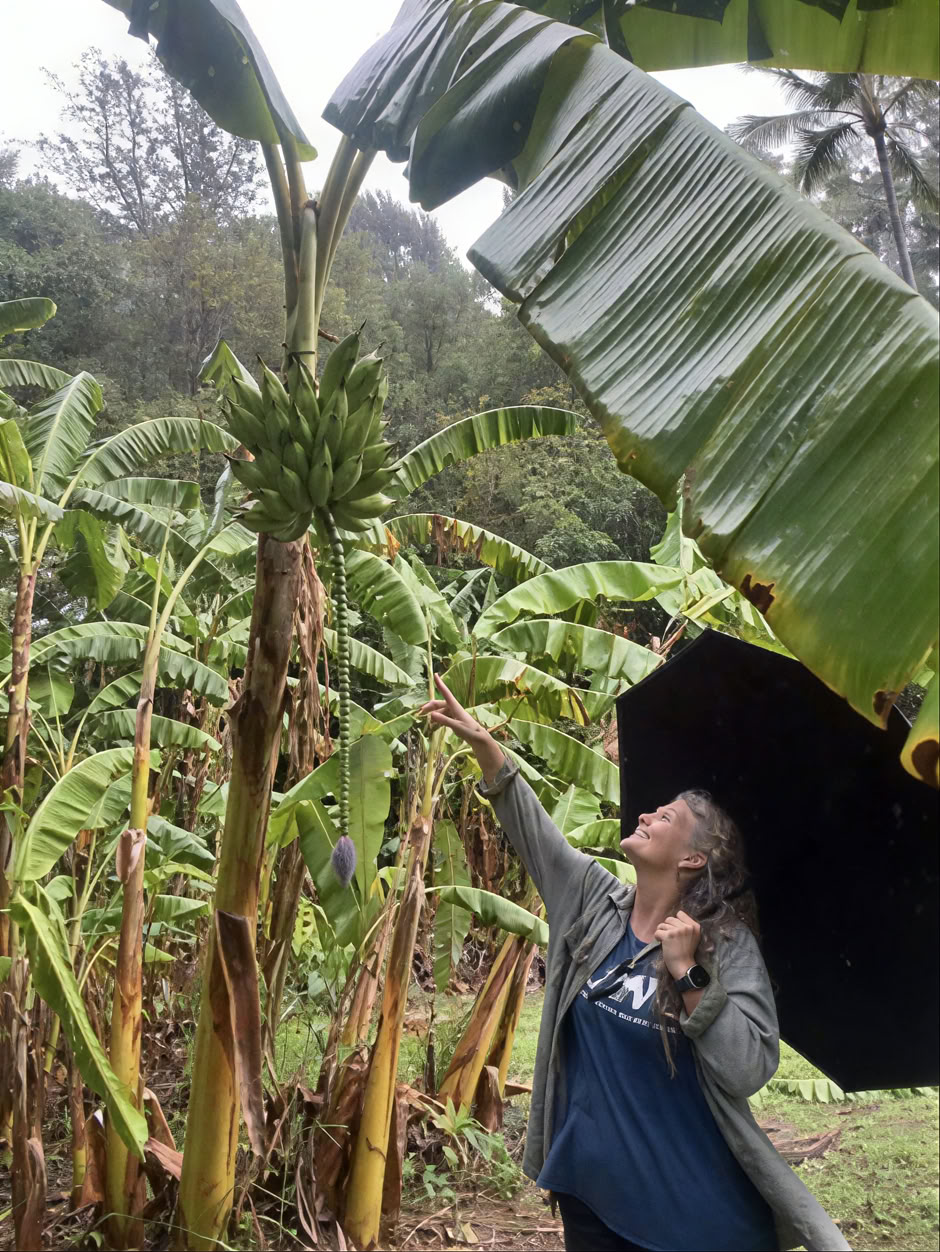 Recorrido por el vivero del jardín sagrado