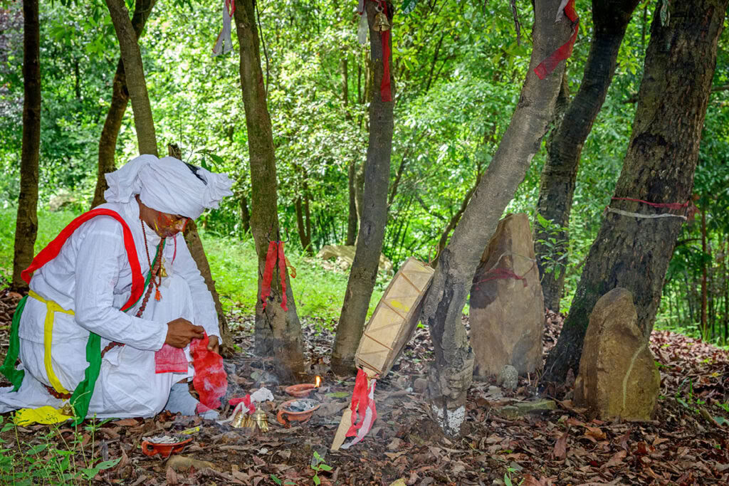 Retiro de Ayurveda para la Perimenopausia de 14 Días en Nepal