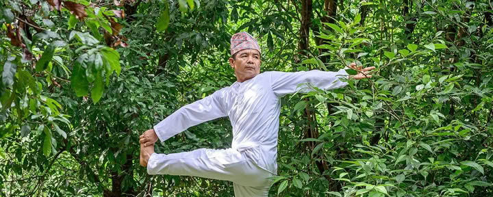 Curso integral de 30 días de formación en Ayurveda Panchakarma y terapia de yoga