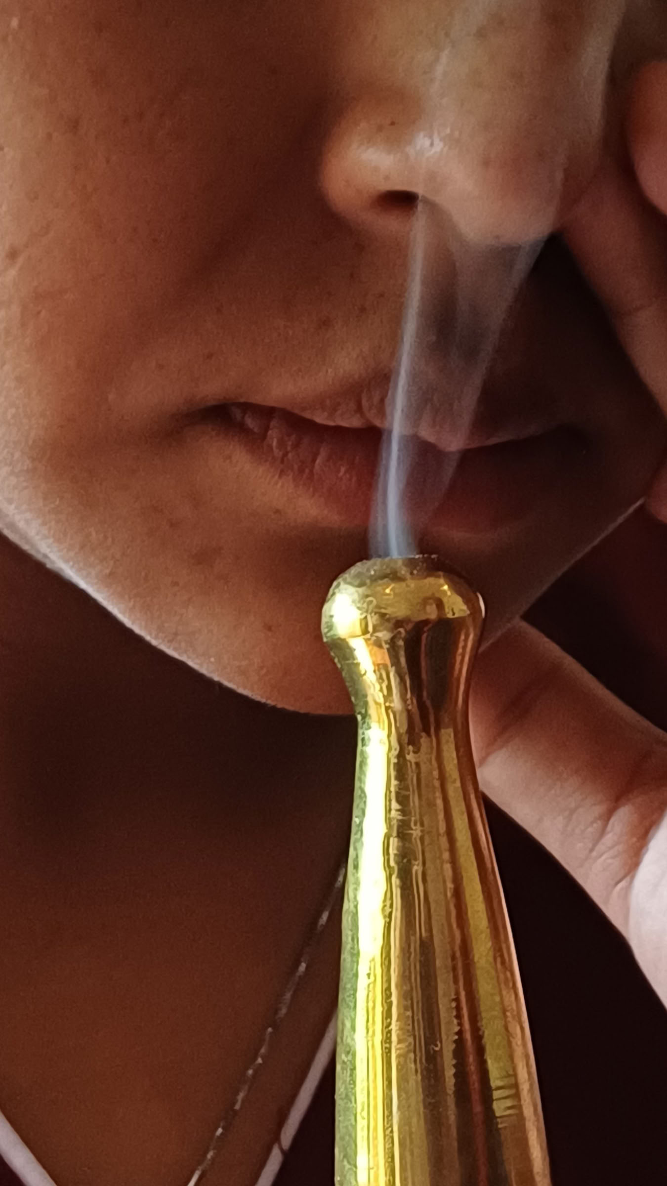 Retiro de desintoxicación Panchakarma