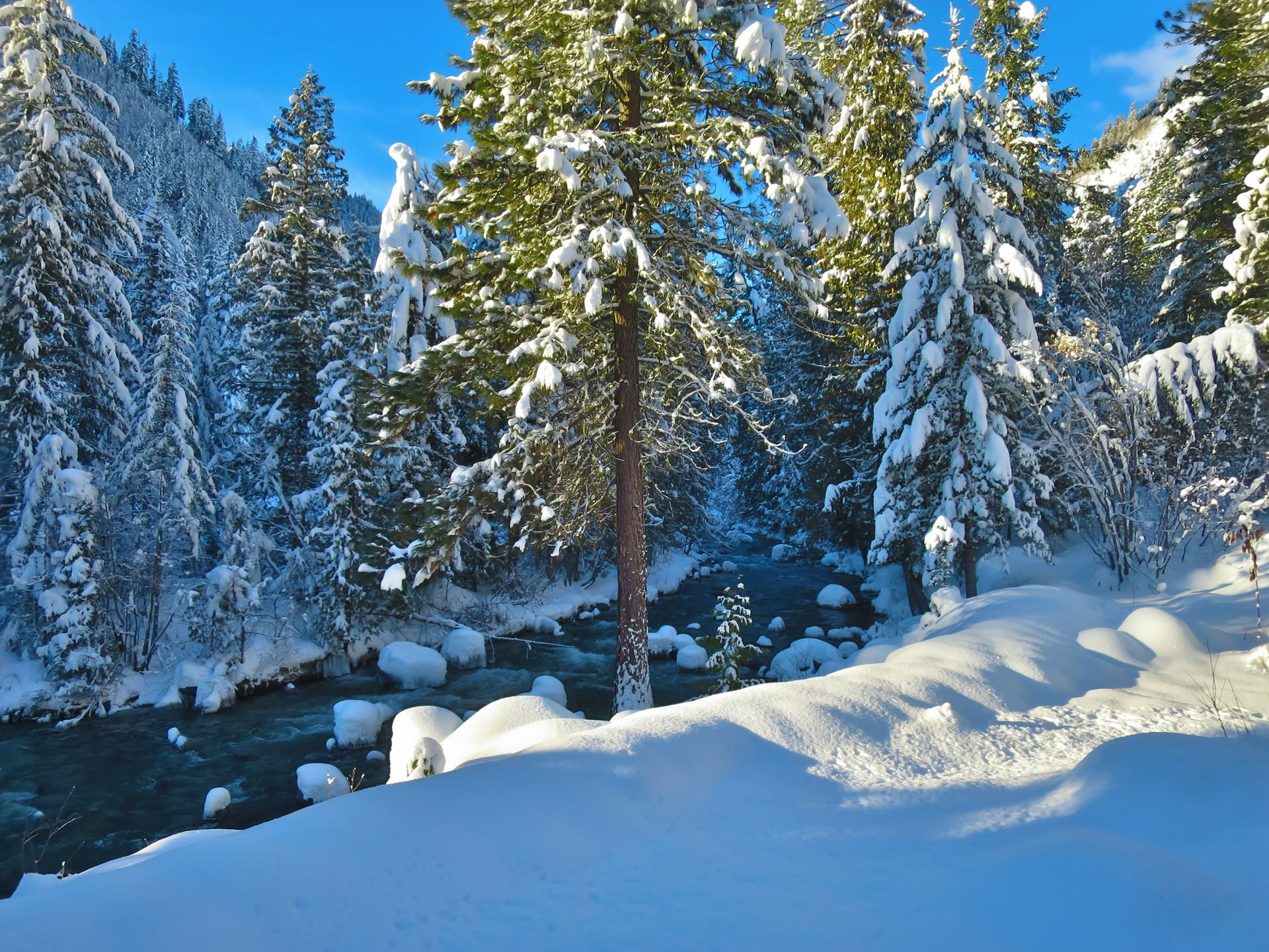 Campamento de día Cool Beans