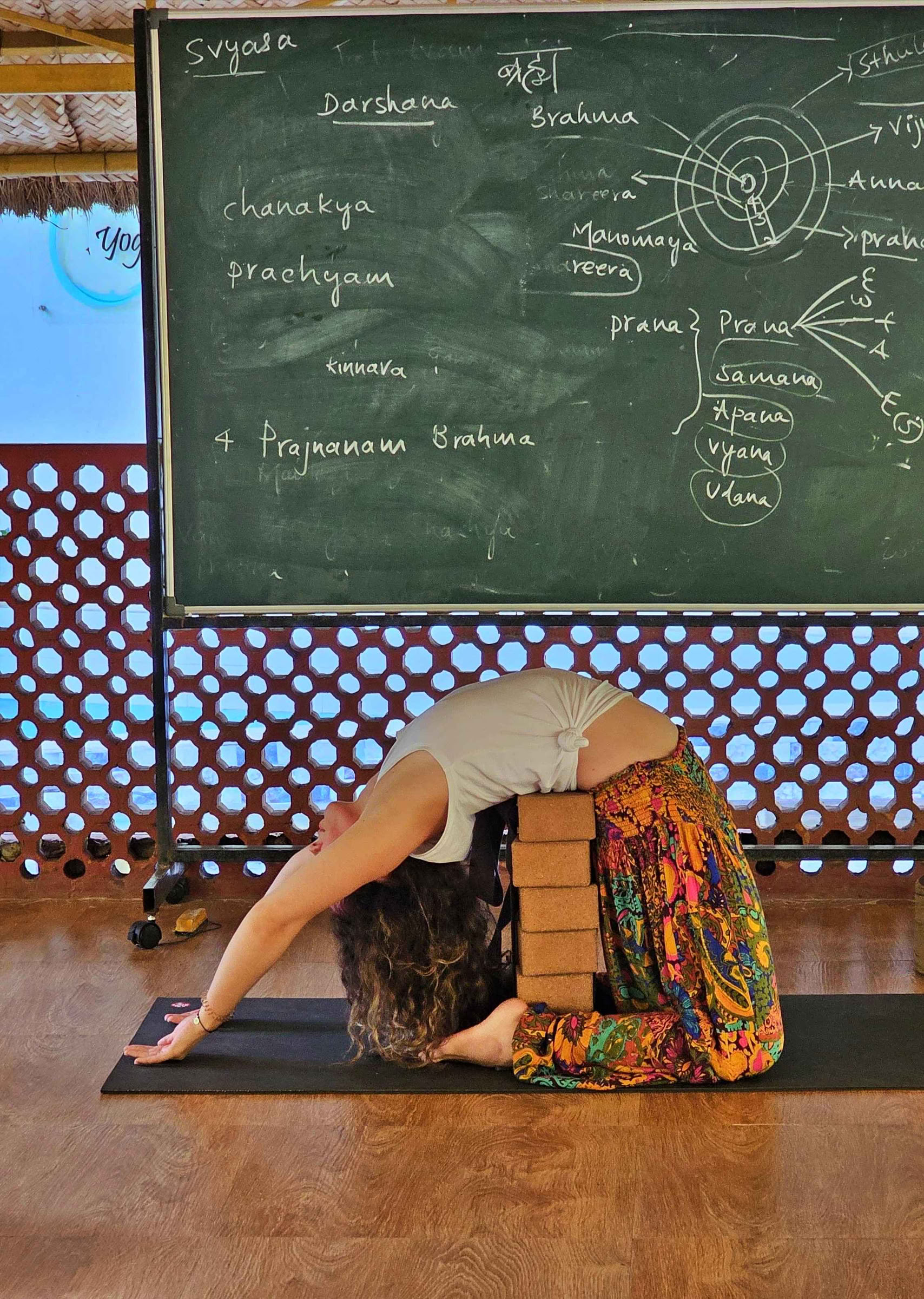 Formación avanzada de profesores de yoga de 300 horas - enero de 2027