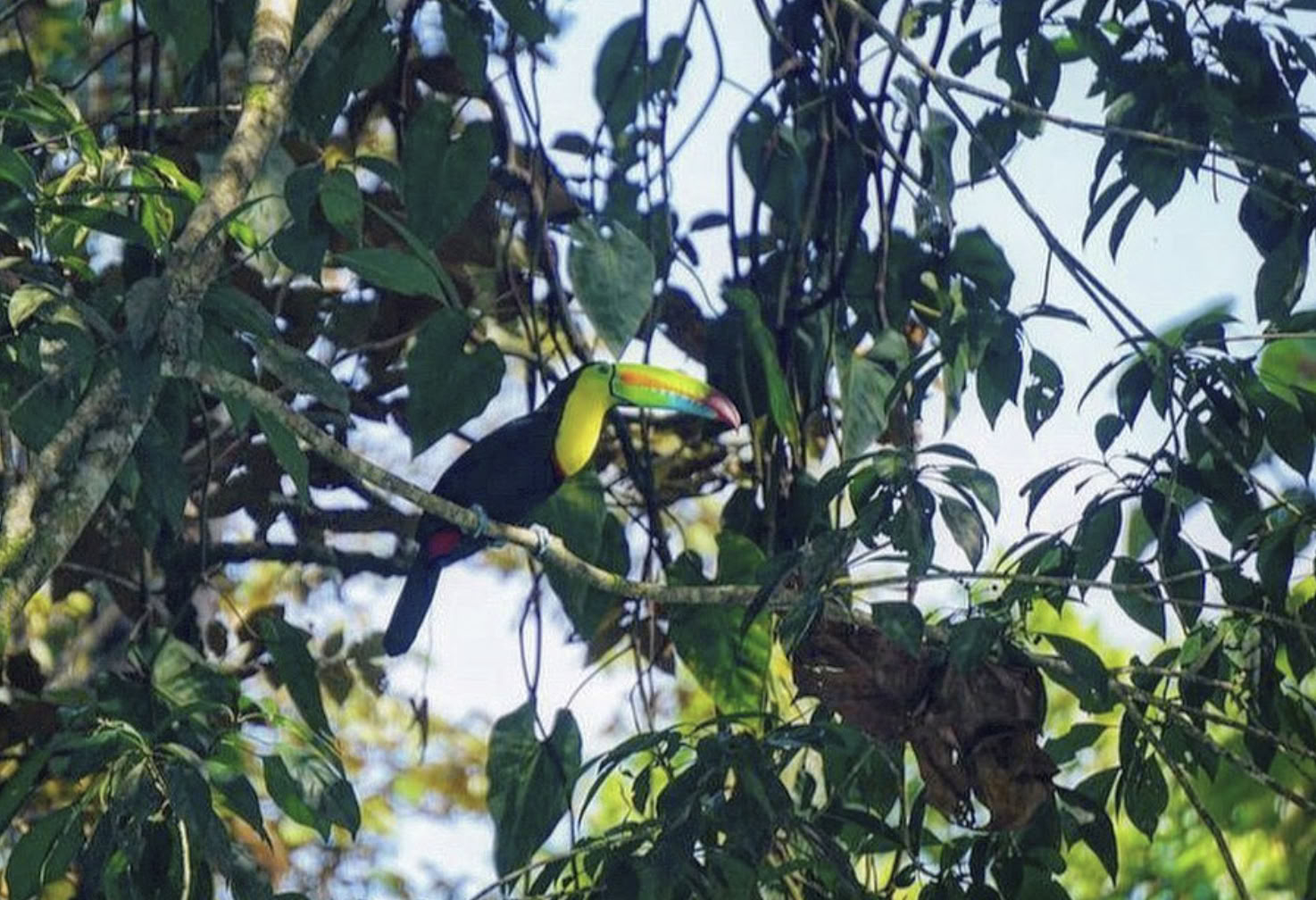 Retiro MEKAYOGA en Panamá