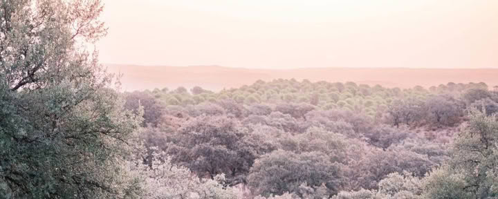 Retiro de Yoga Kundalini