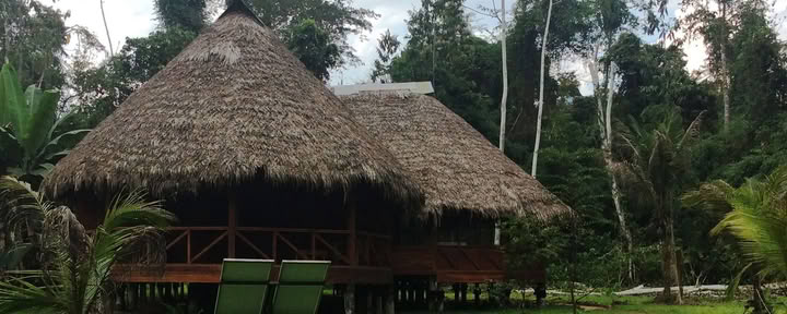 Retiro de 11 días