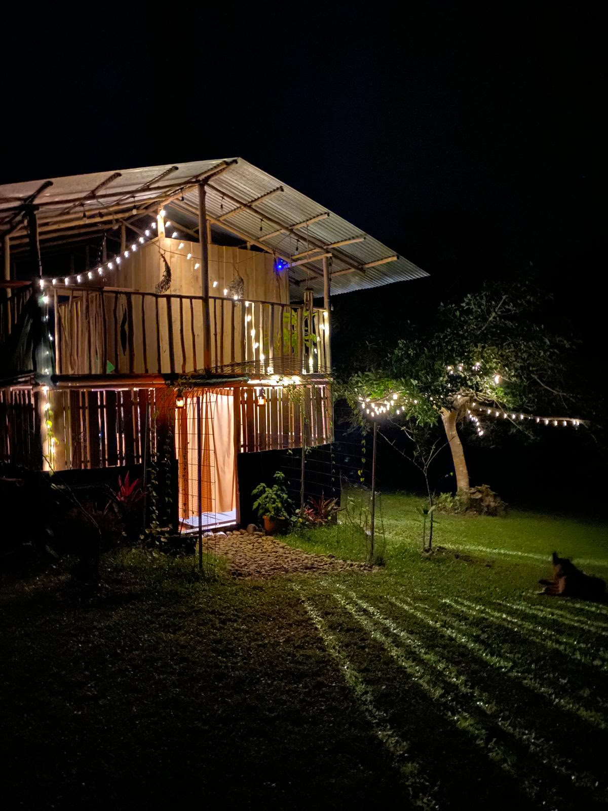 Retiro privado de psilocibina en Costa Rica