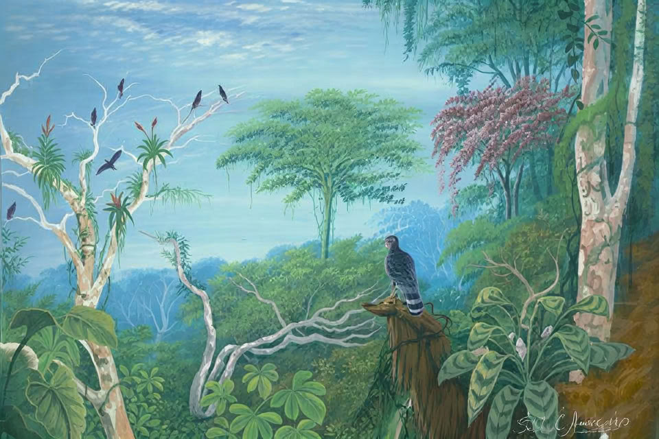 2–7 de febrero de 2027 | experiencia de camping en la selva tropical de Cocoterra, Costa Rica