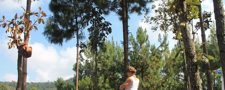 Retiro de meditación silenciosa Hridaya de 10 días