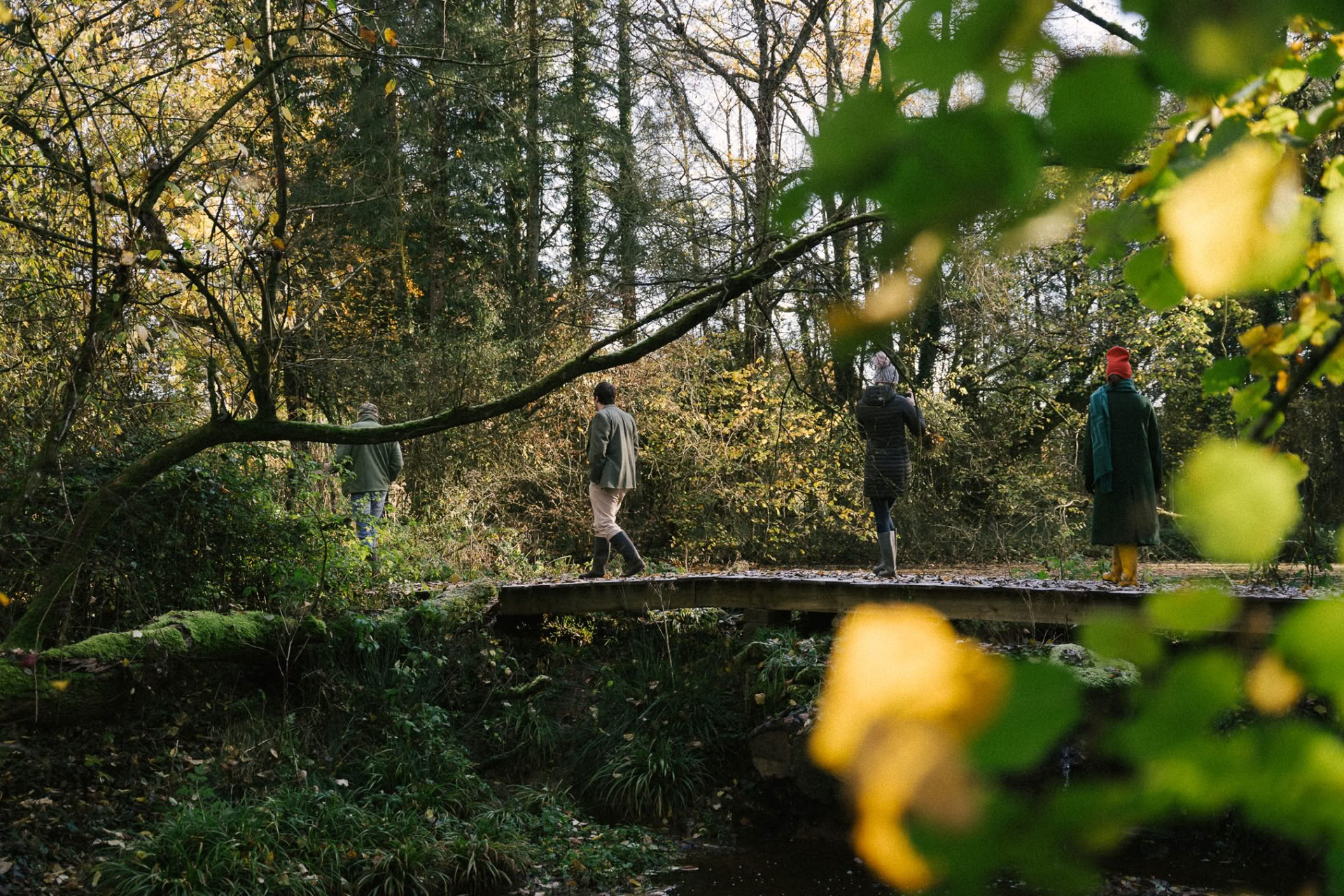 Caminata de rewilding guiada
