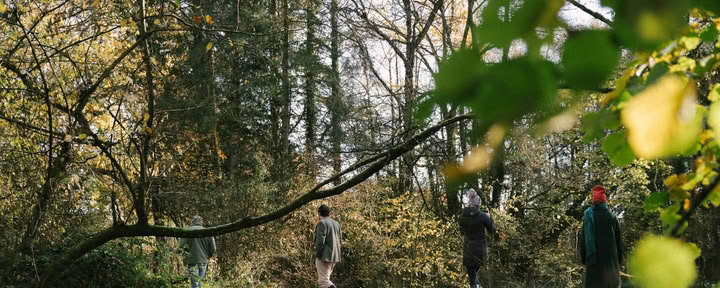 Búsqueda del tesoro en el bosque