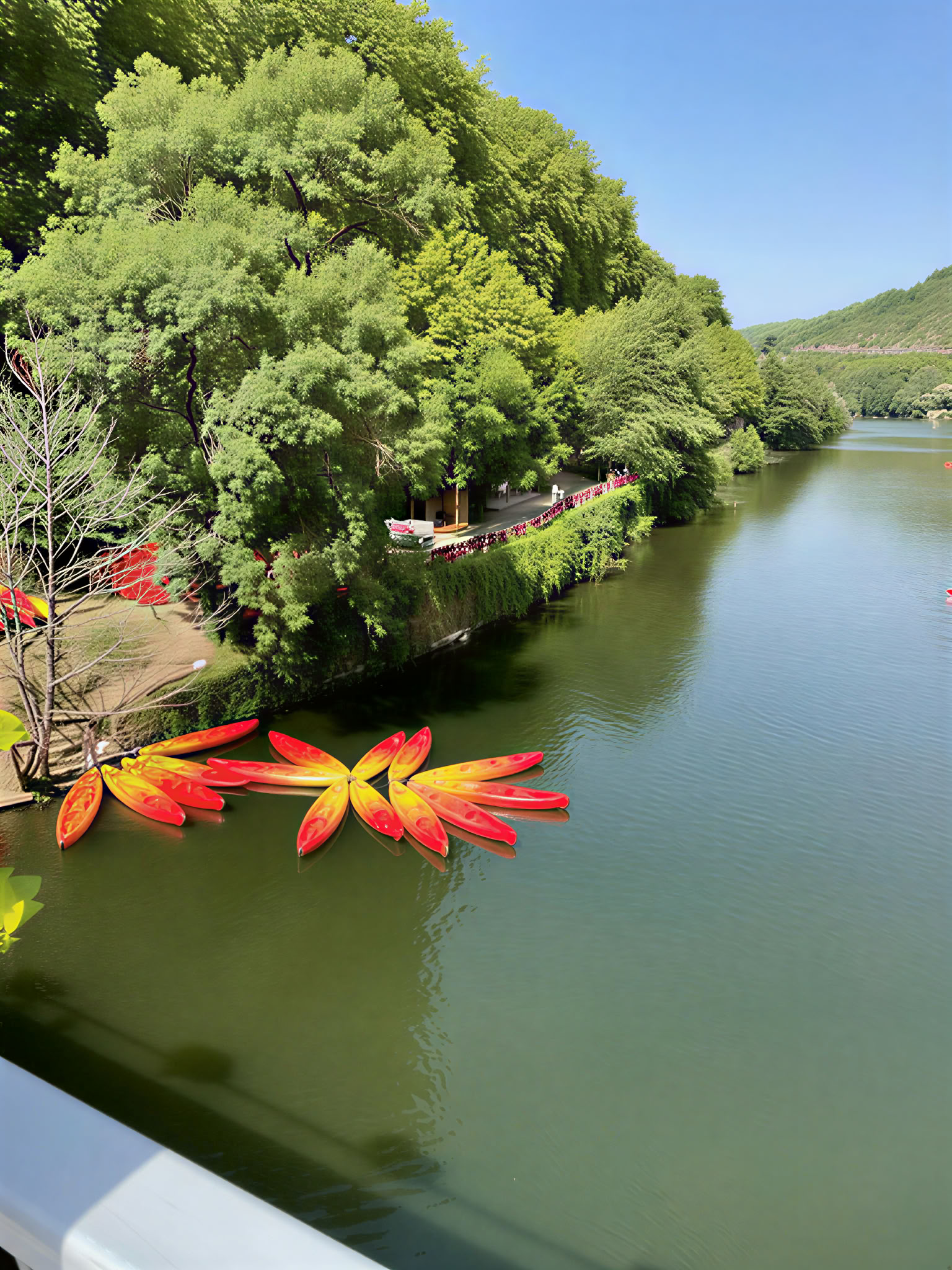 retiro de yoga y meditación sanadora