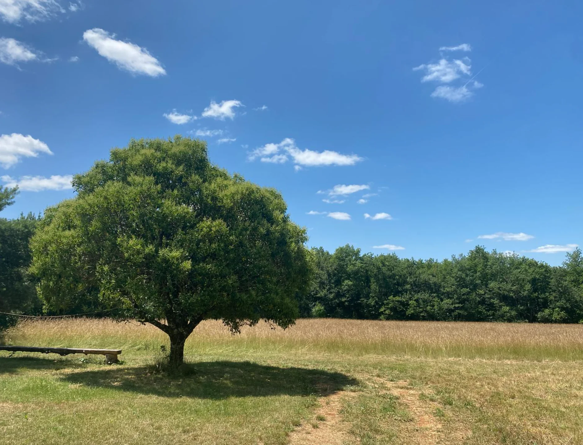 Retiro de yoga y meditación en el sur de Francia