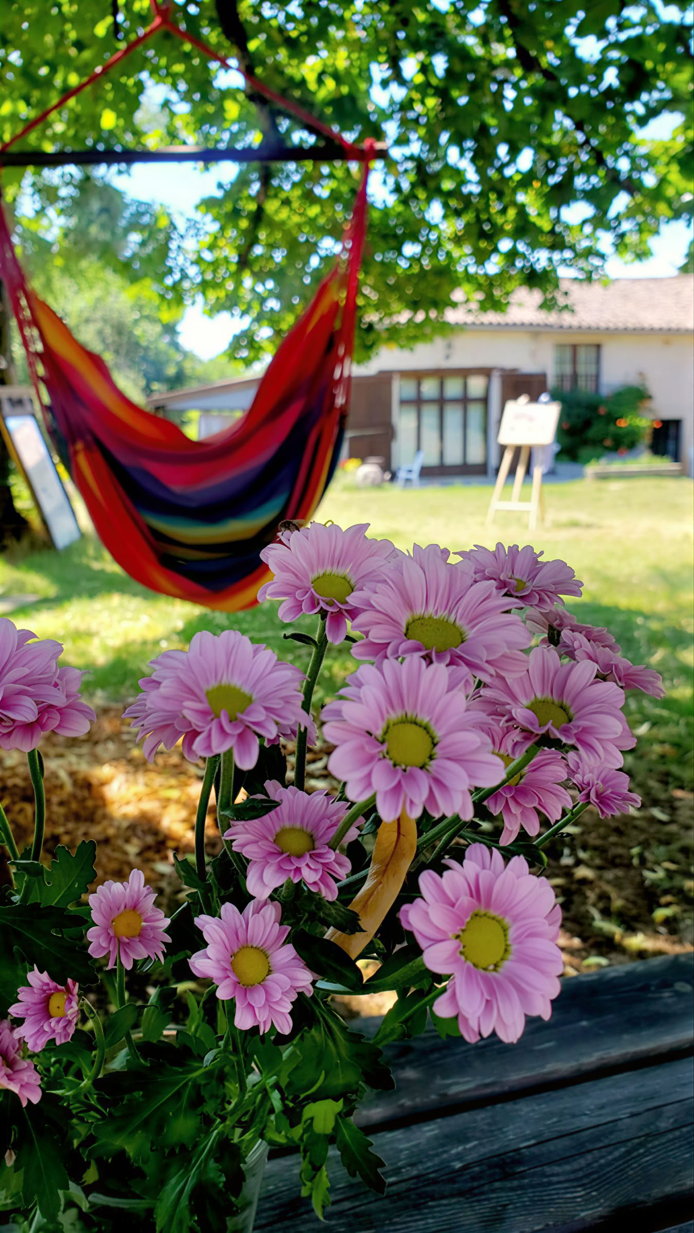 Retiro de yoga y meditación en el sur de Francia