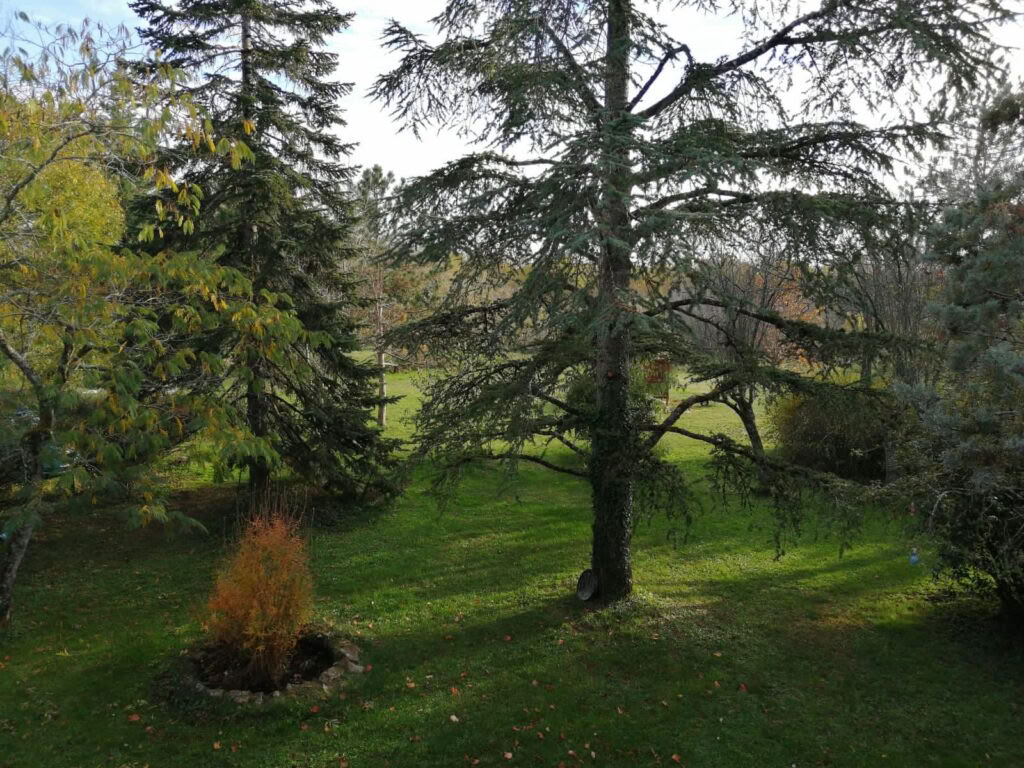 Retiro de yoga y meditación en el sur de Francia