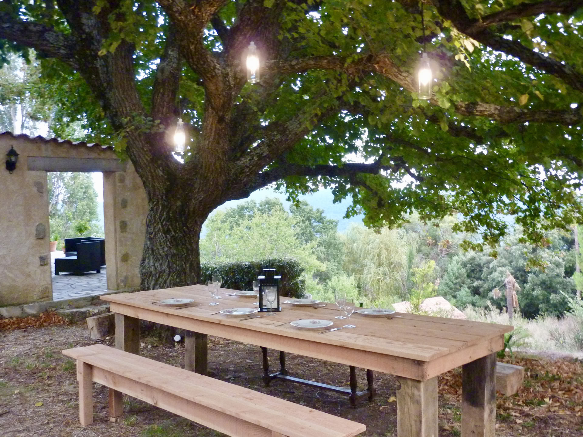 Estancia con Medical Medium