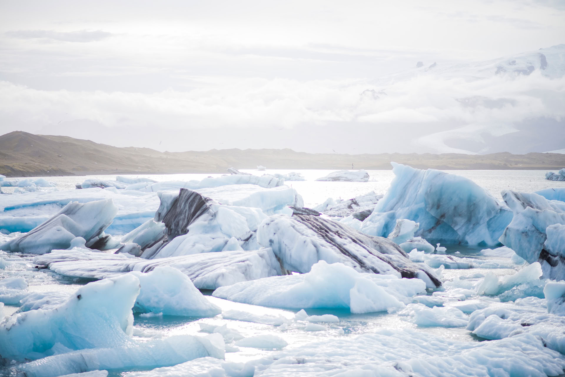 Caminata por el glaciar con terapia de frío. WHM