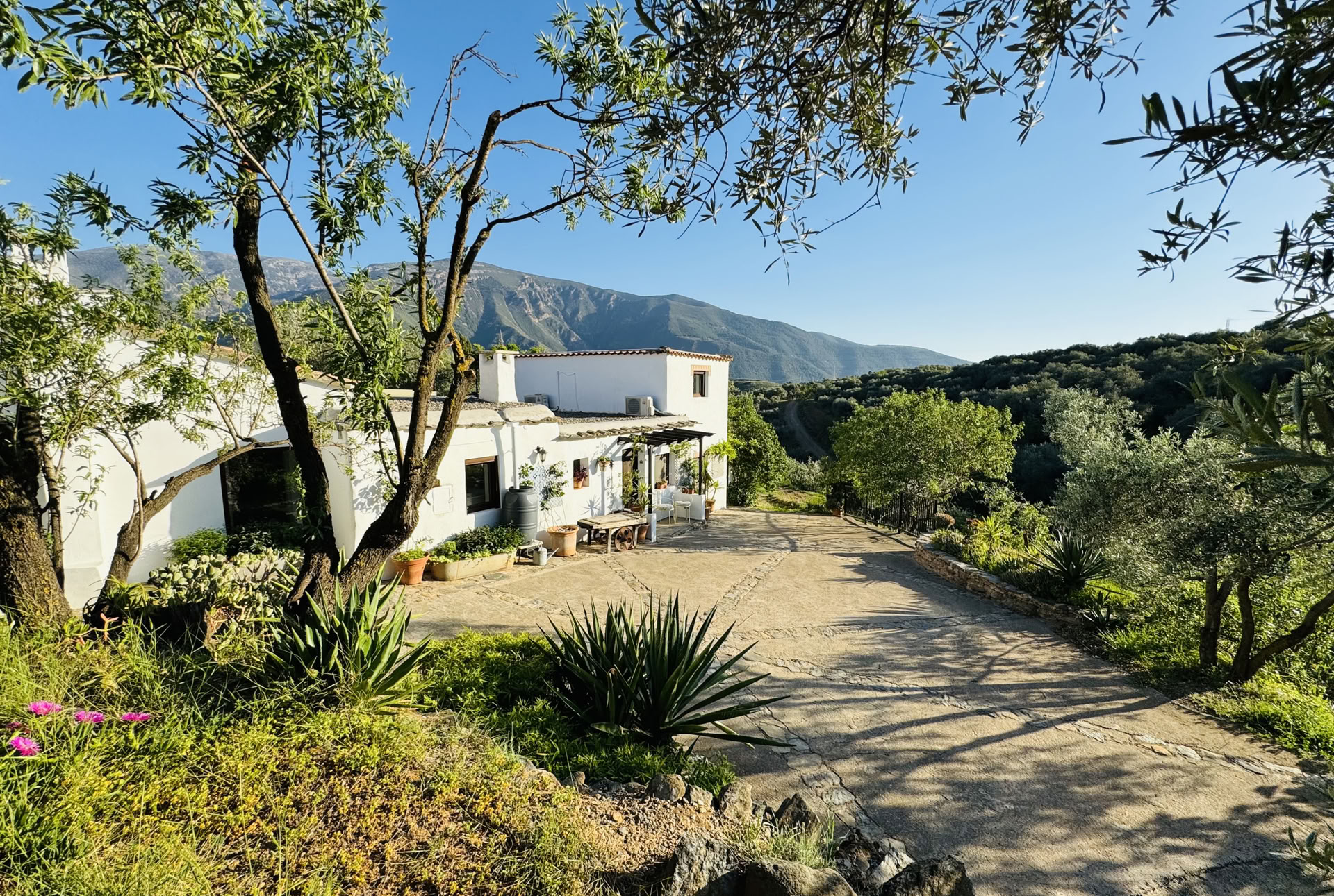 Retiro de 6 días de naturaleza y yoga