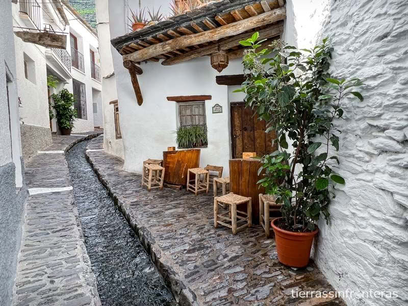 Retiro de 6 días de naturaleza y yoga