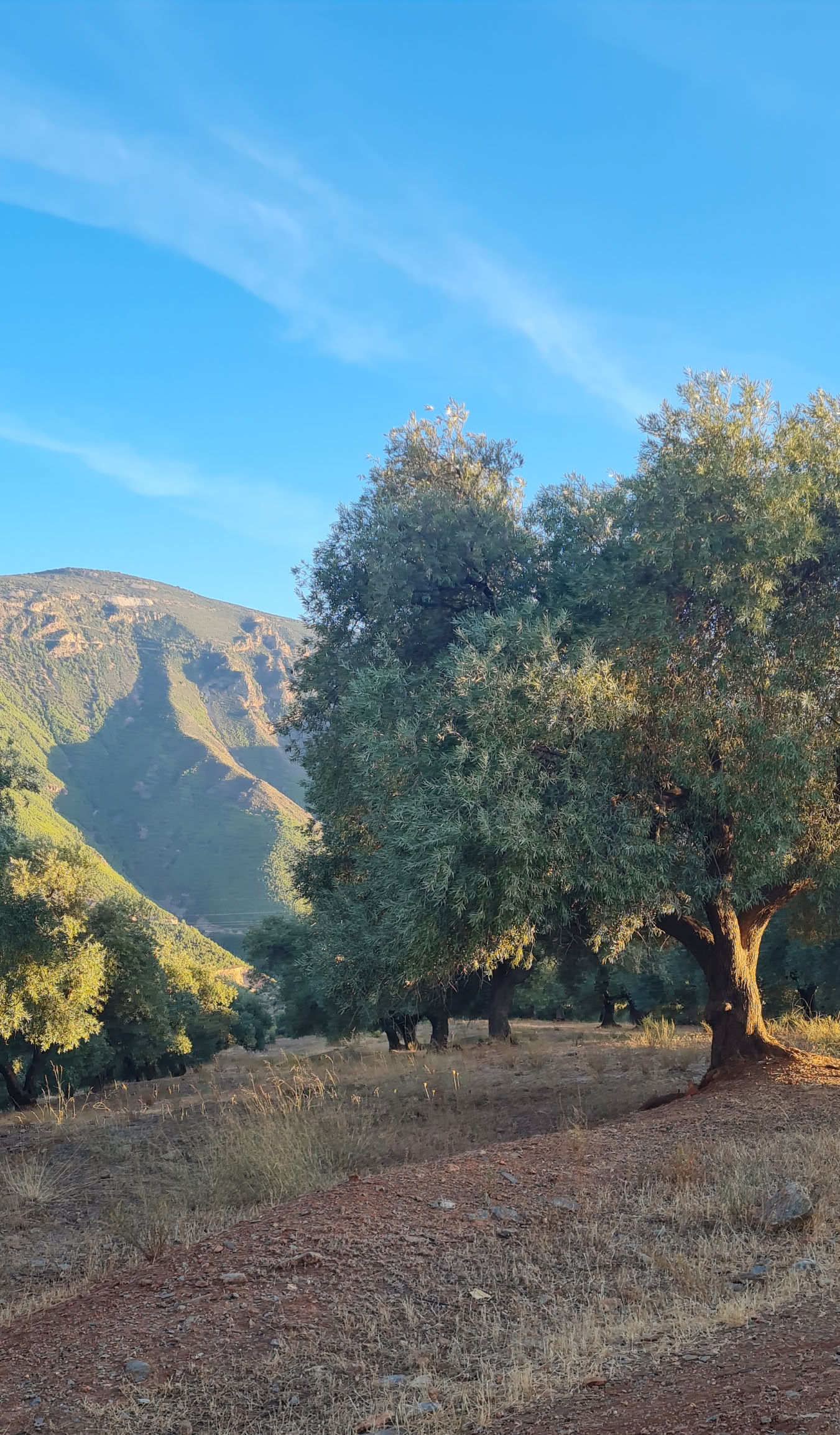 Retiro de 6 días de naturaleza y yoga