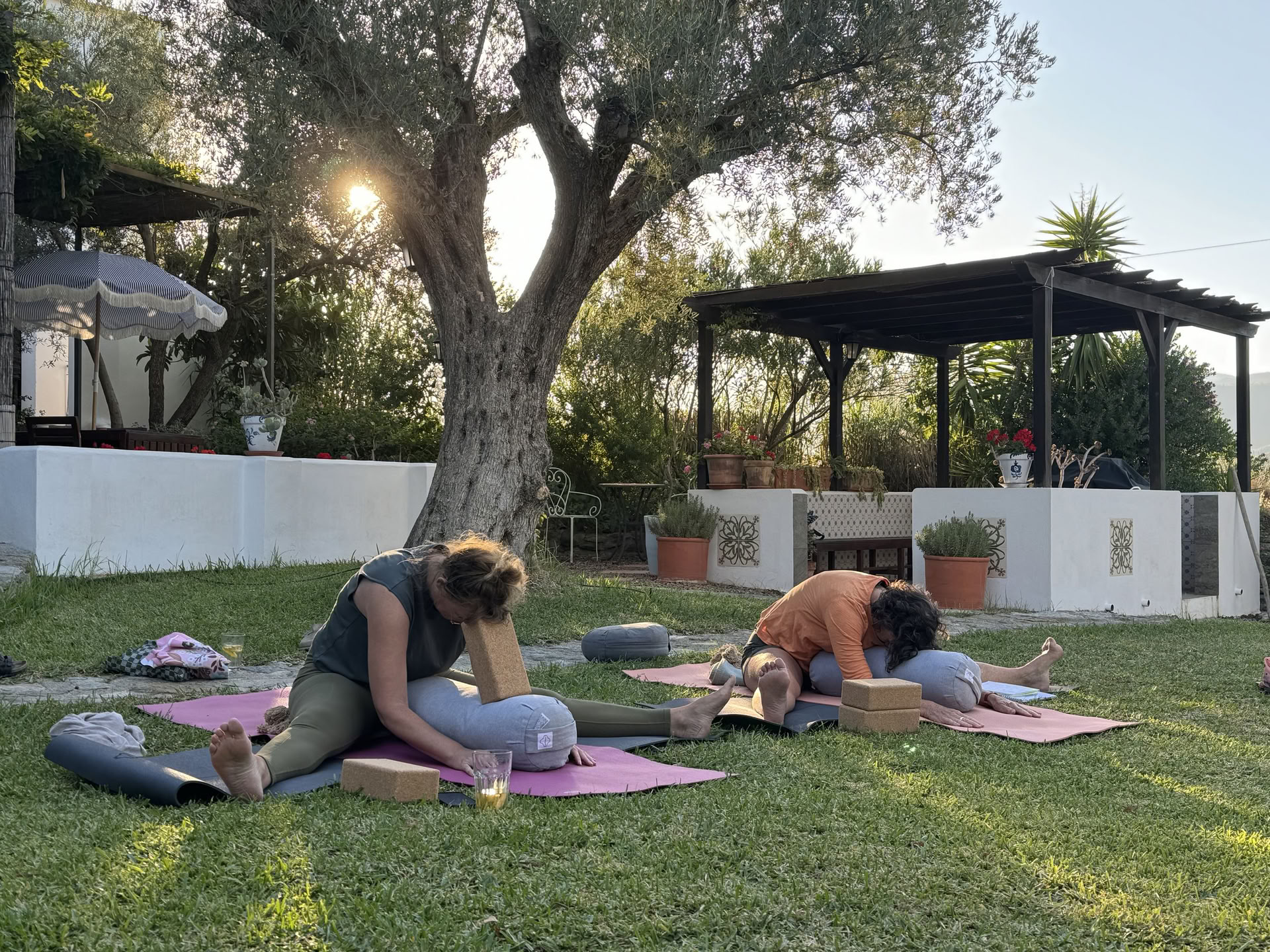 Curso de Yin Yoga de 50 horas - Octubre