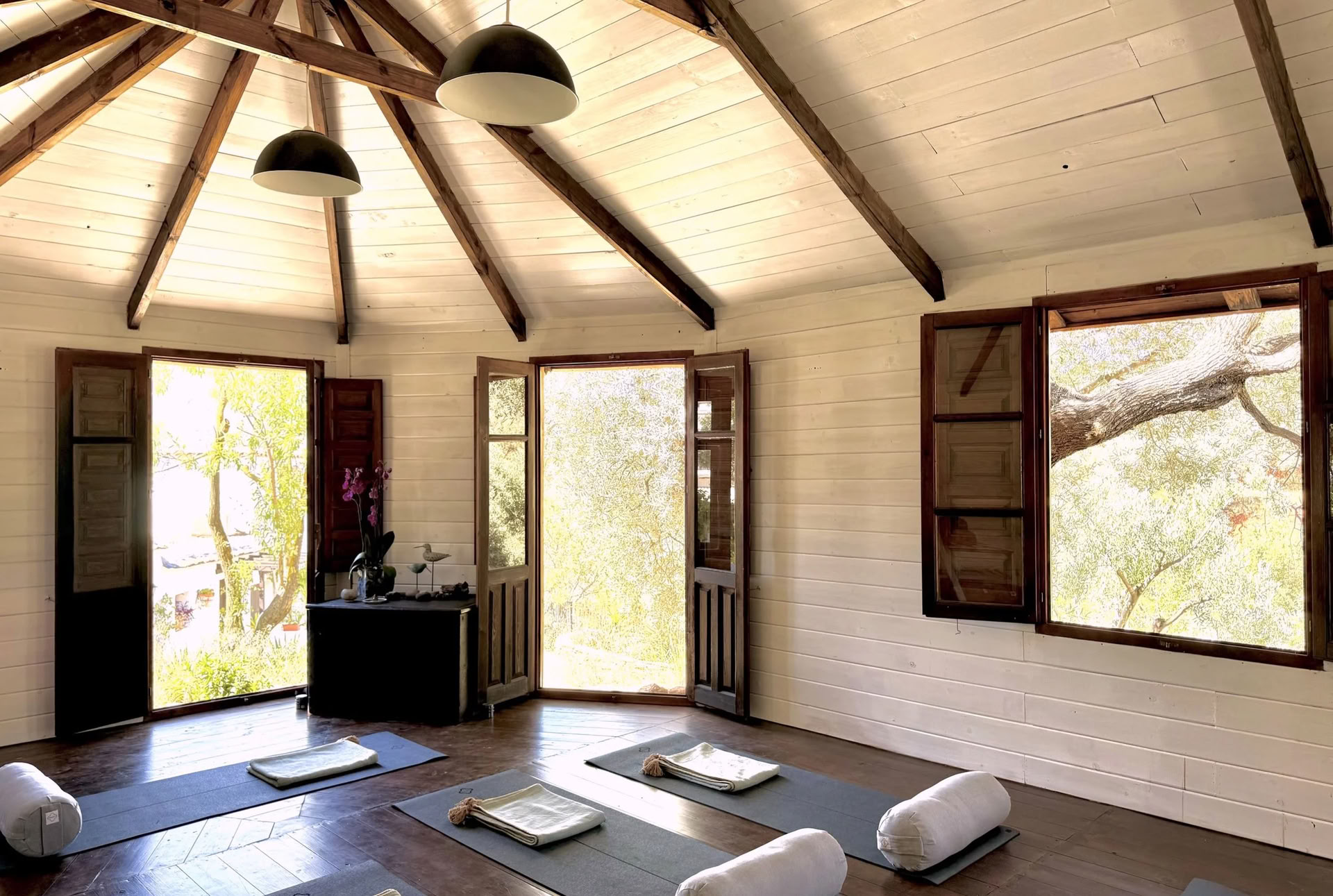 Curso de Yin Yoga de 50 horas - Octubre