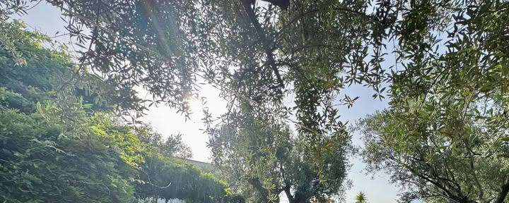 Retiro de yoga de 7 días para reconectar y reequilibrar en Órgiva, España