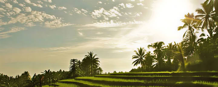 Retiro de yoga en Bali
