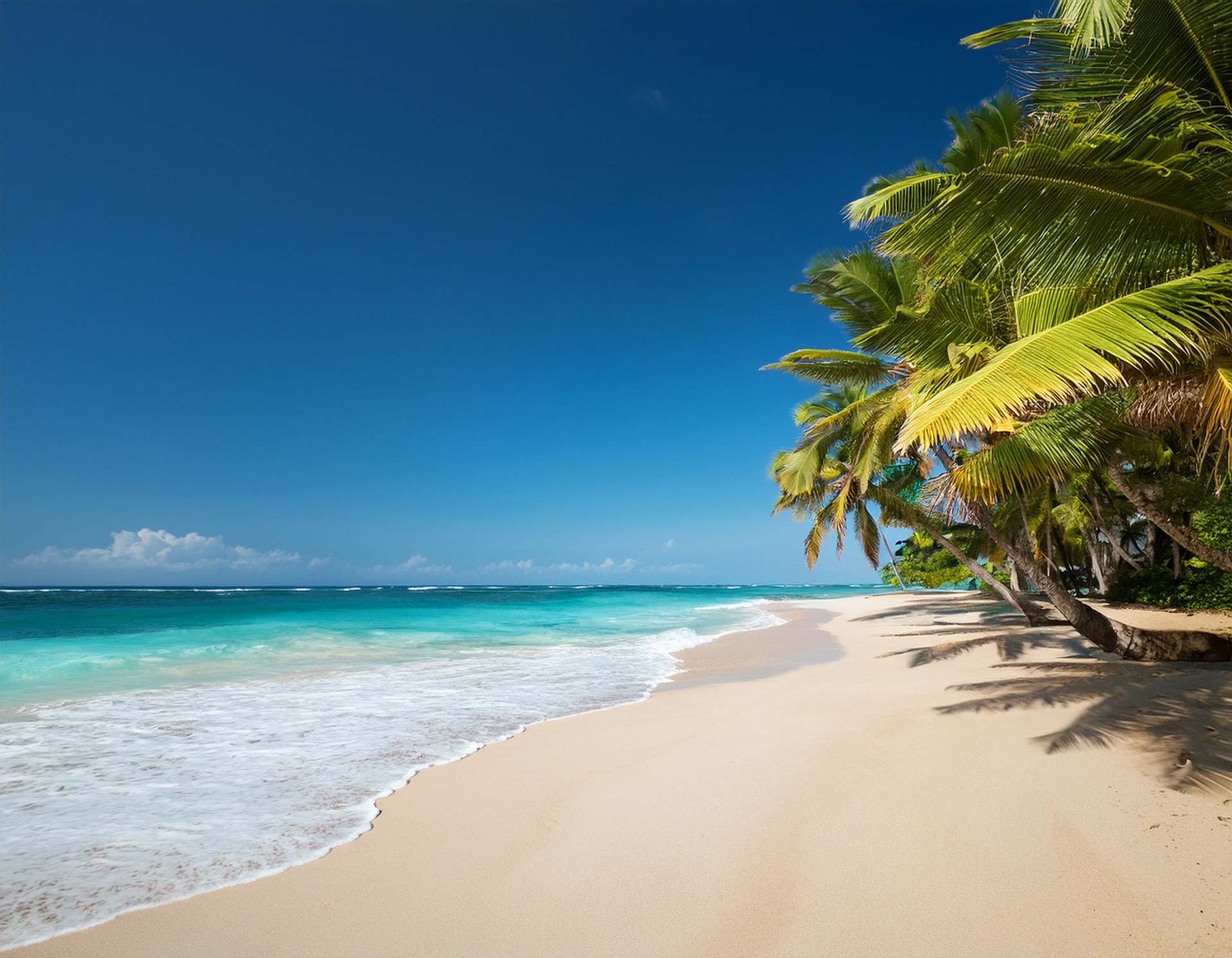 Retiro en Diani Beach, Kenia