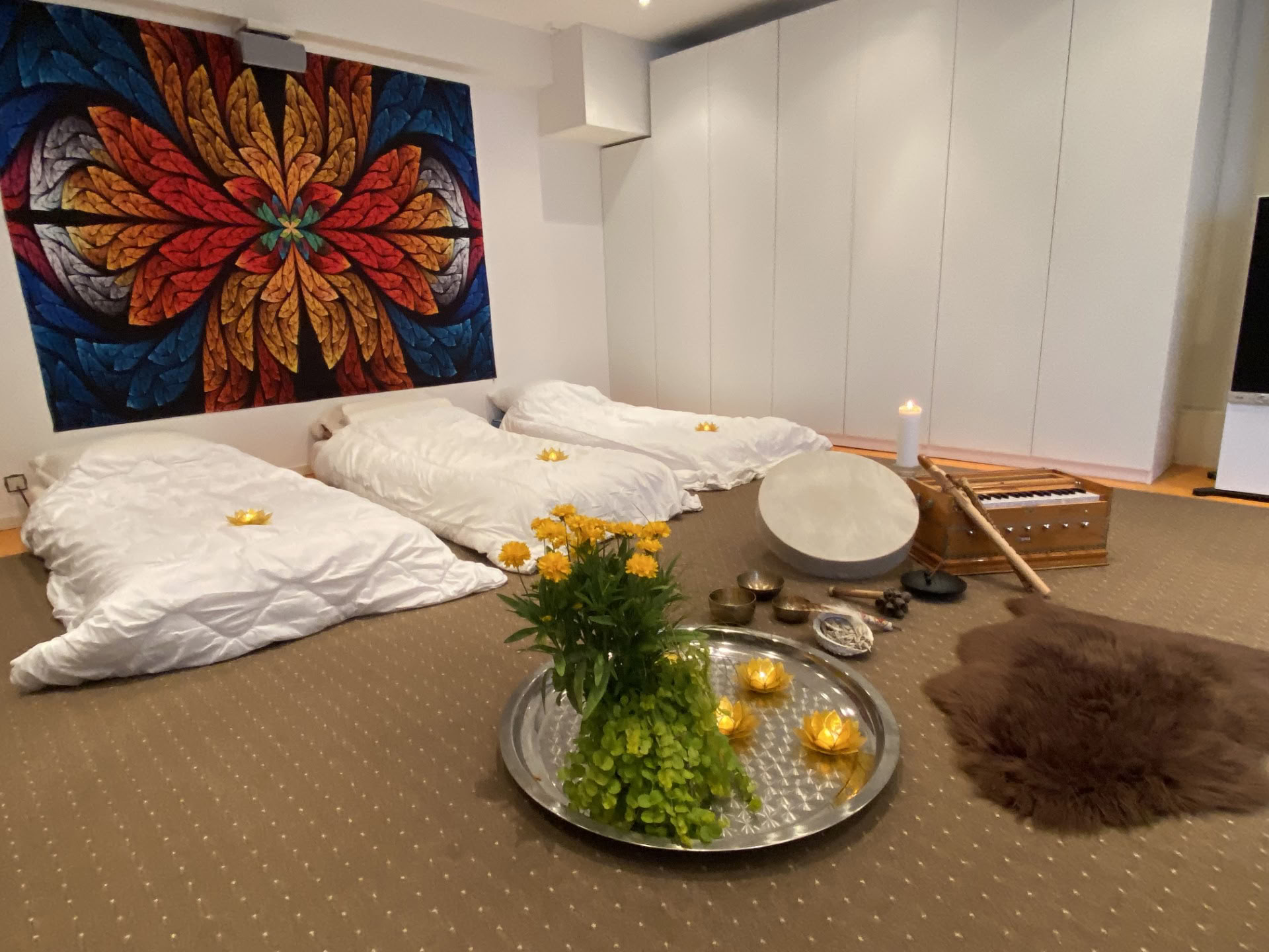 Sesión privada de ayahuasca