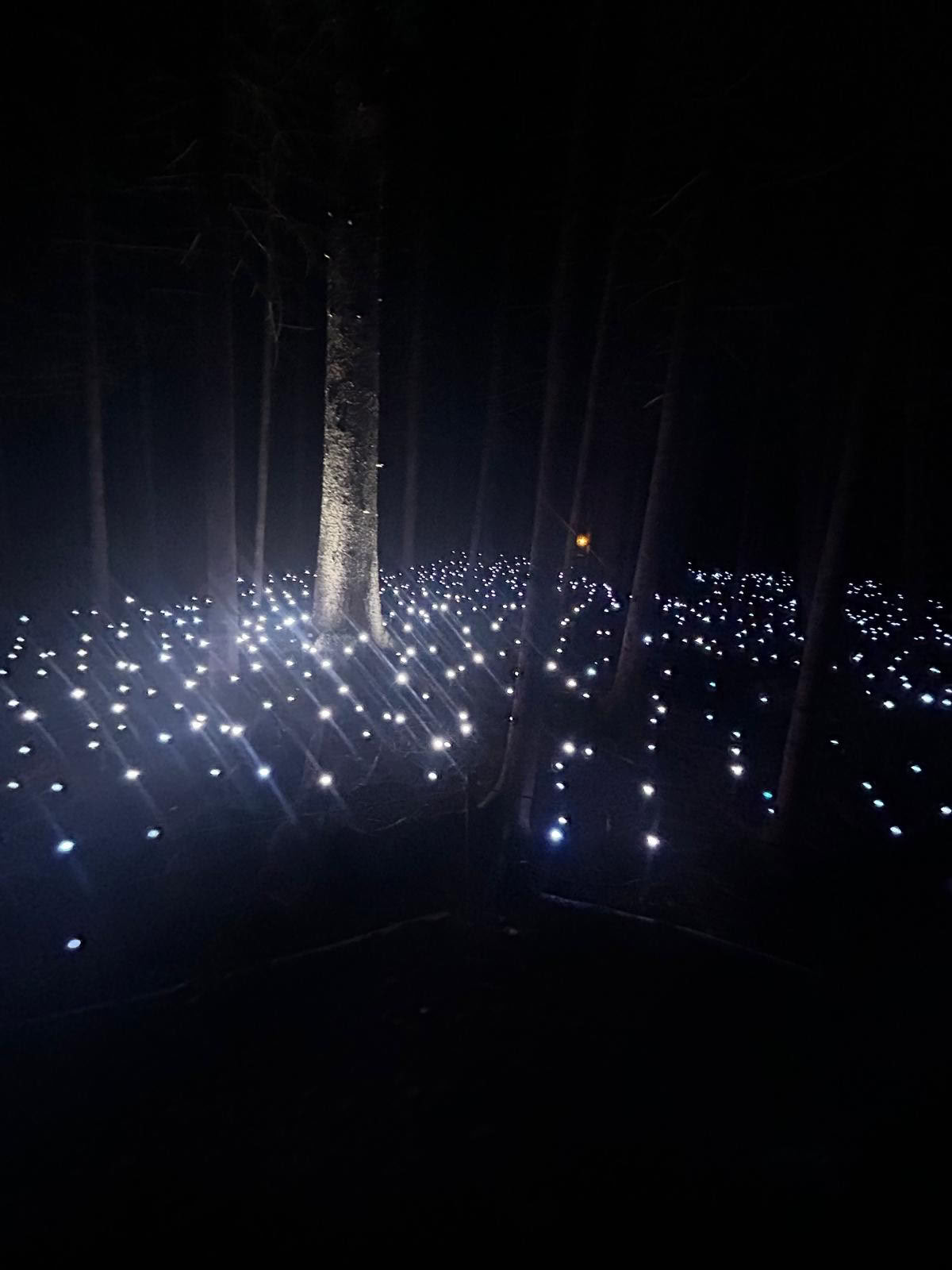 La Experiencia de Glamping Akadi Lumina