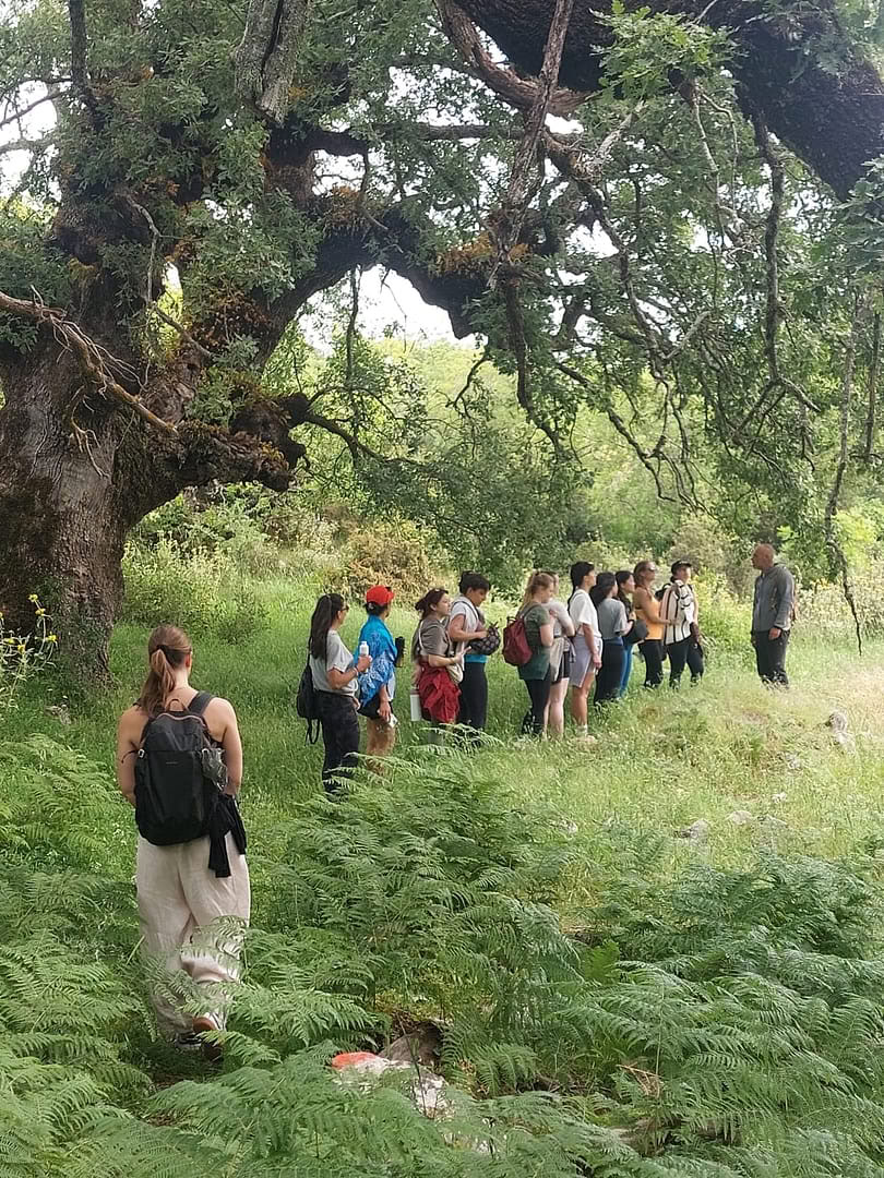 Retiro de Tai Chi y Qi Gong