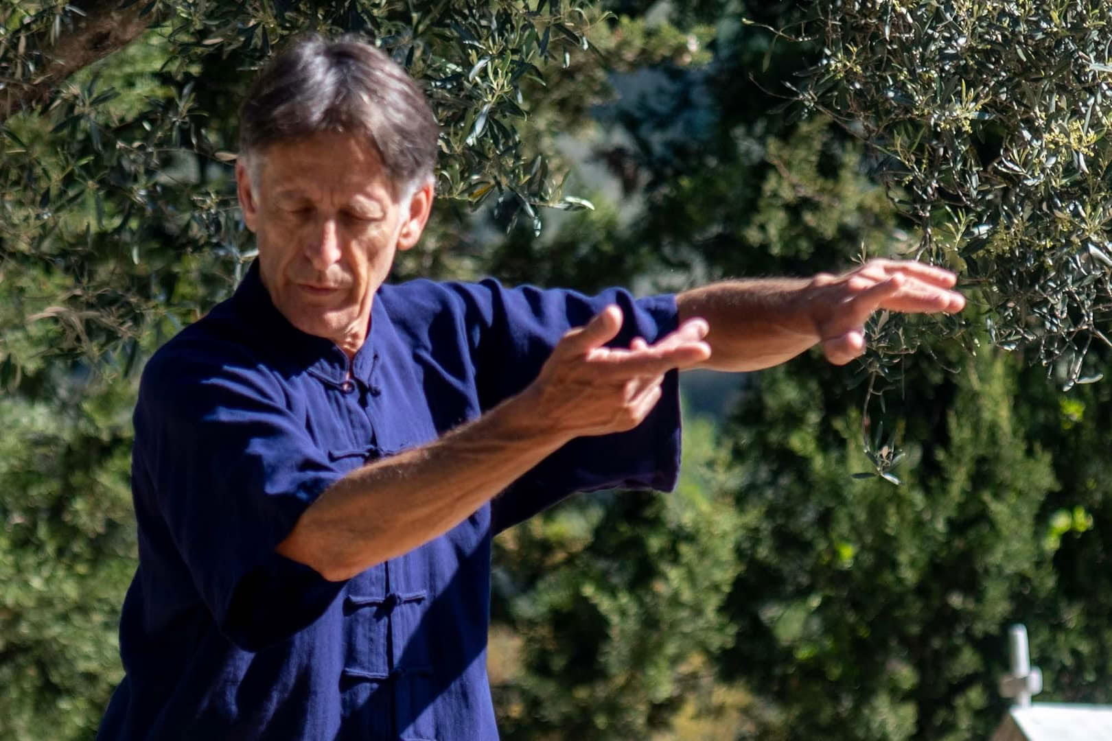 Retiro de Tai Chi y Qi Gong