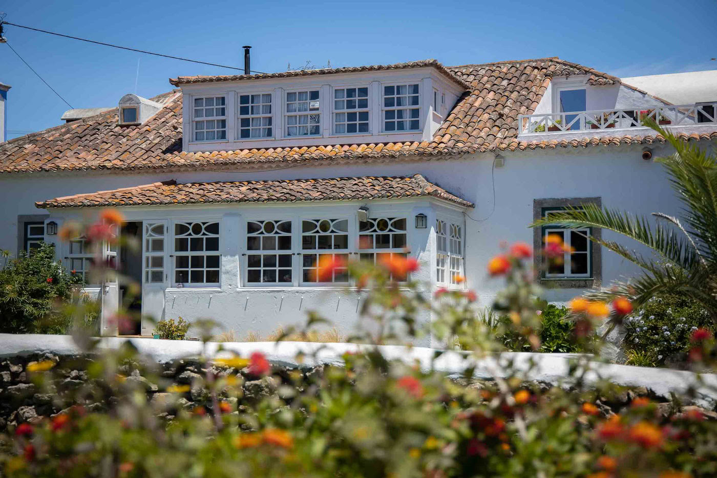 Hijo del Océano – Retiro de Yoga y Surf Septiembre de 2026