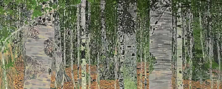 Retiro de otoño: la vida monástica