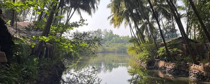 Retiro de Yoga en Goa