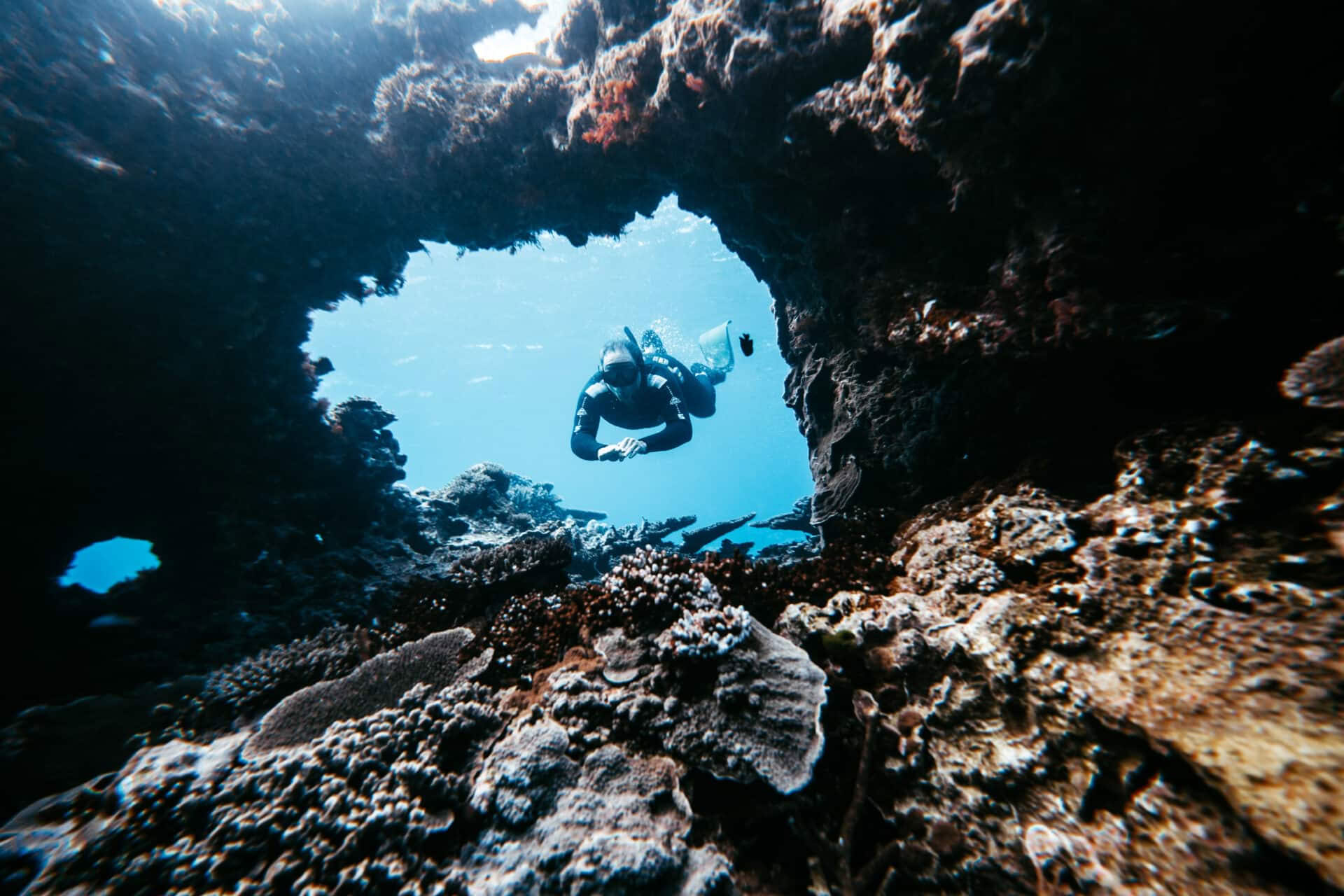 Instructores de apnea y sin aliento de Lady Elliot Island