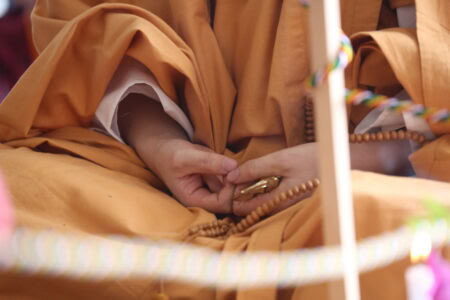 Regreso al hogar — Dharma | Arte | Naturaleza