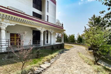 Regreso al hogar — Dharma | Arte | Naturaleza