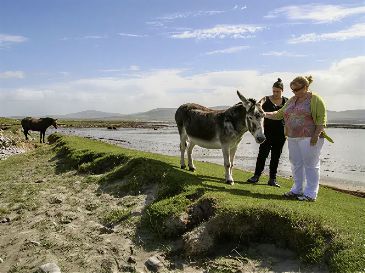 Retiro para parejas en Irlanda