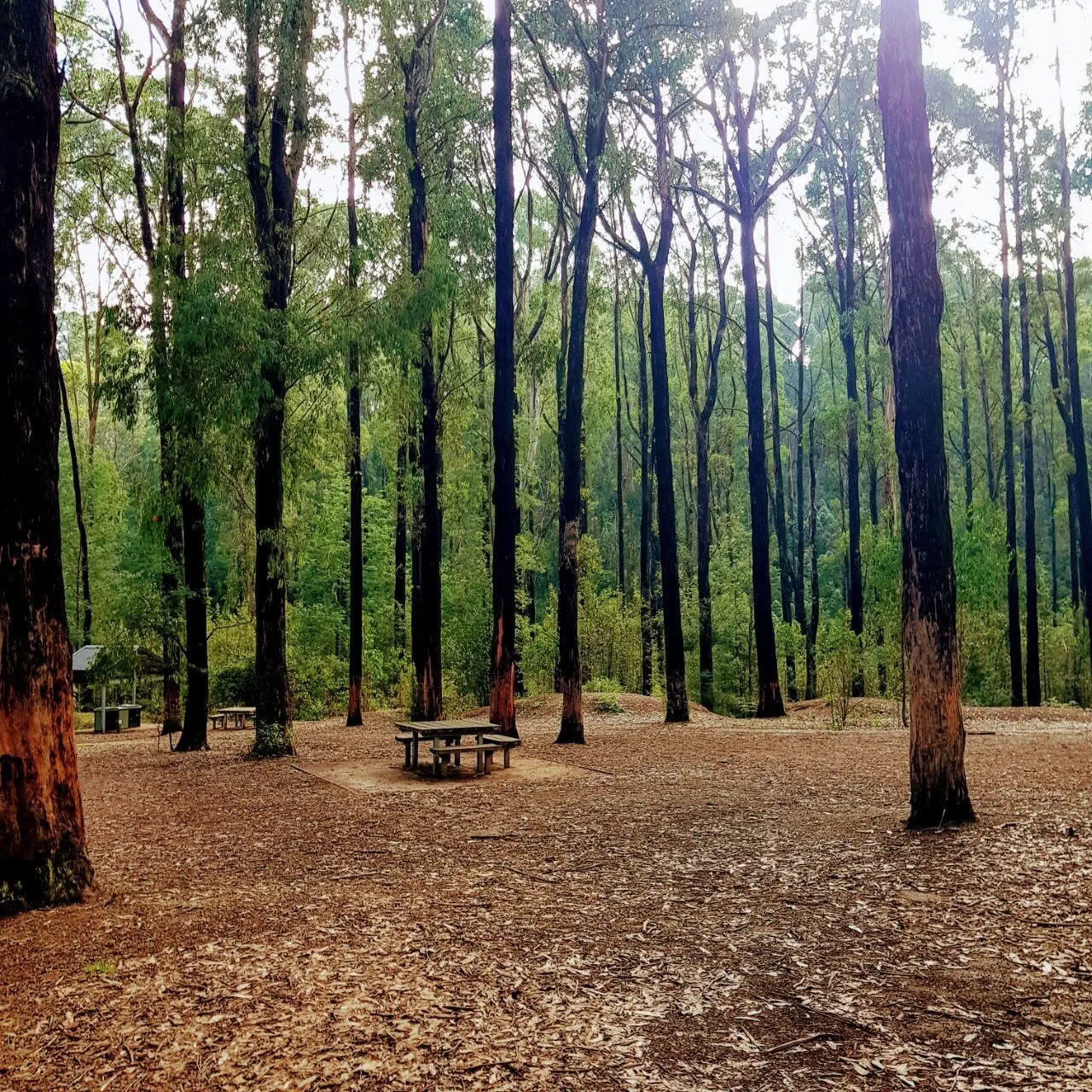 Retiro de fin de semana de invierno