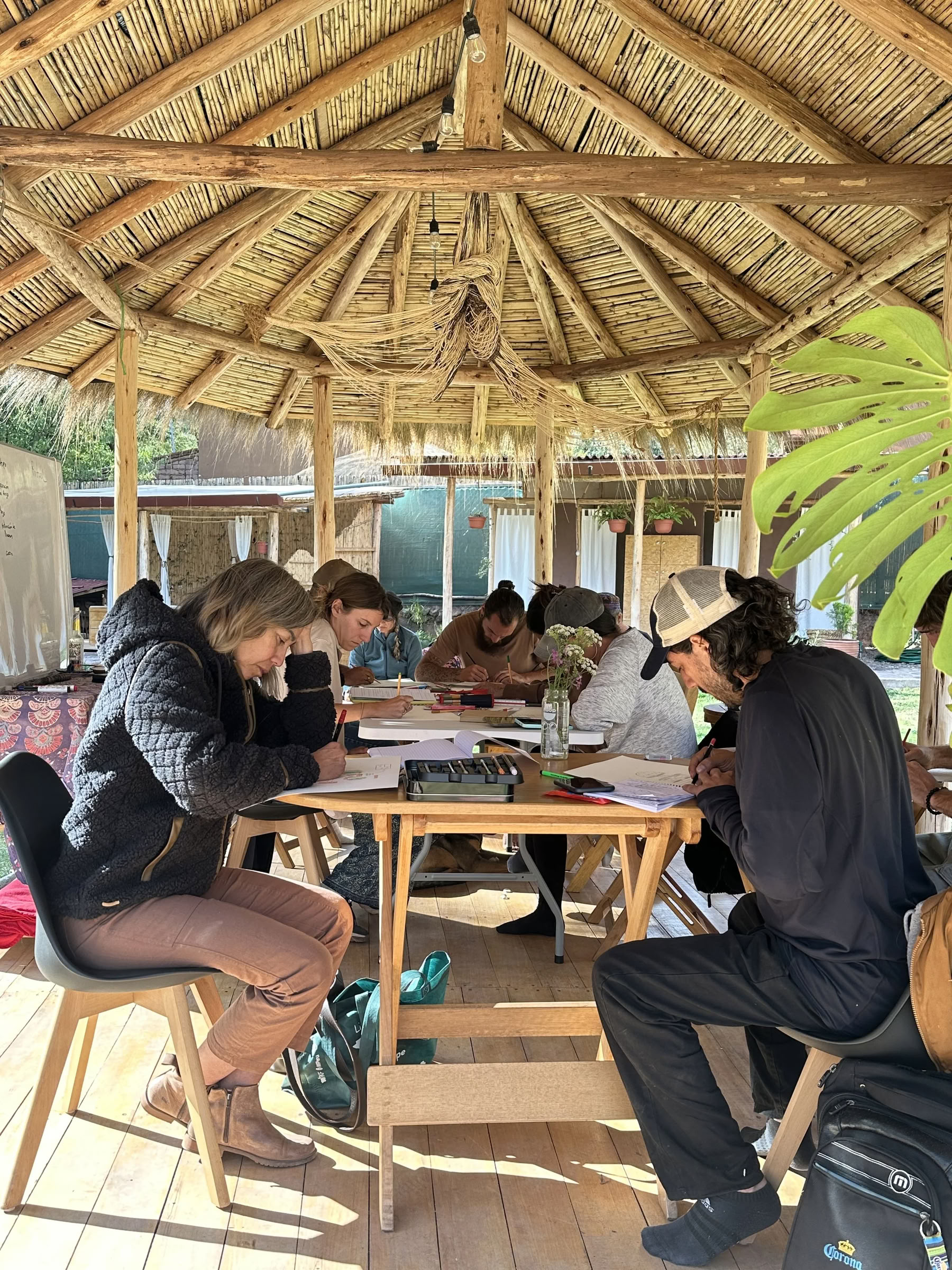 Taller: Acabados Naturales + Revoque Fino