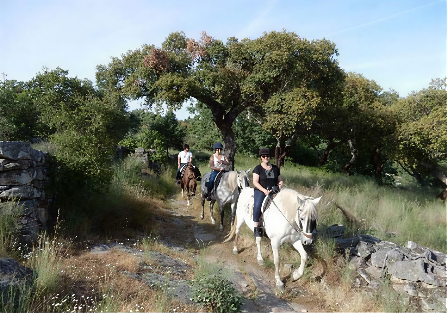 Route suivant « La Raya »