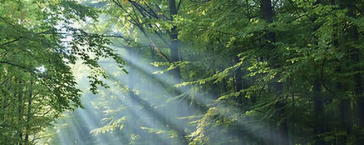 Curso para practicantes de Reiki 2