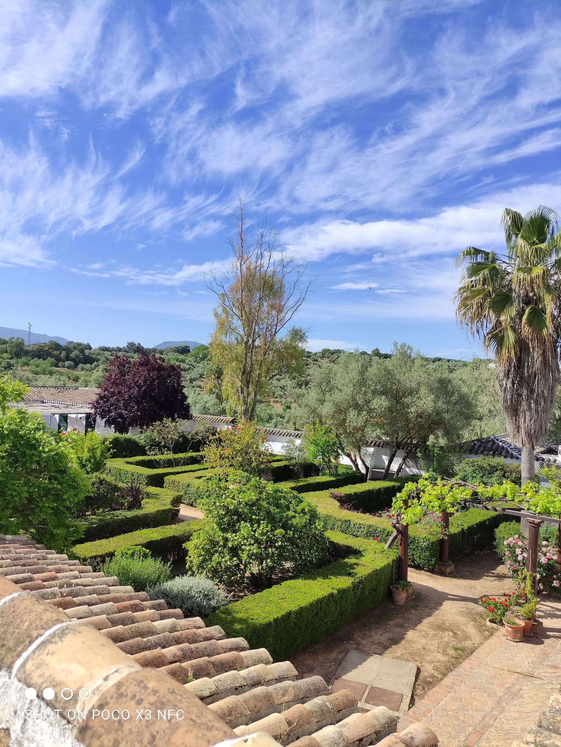 Retiro de yoga español con alma — Cortijo El Cachete