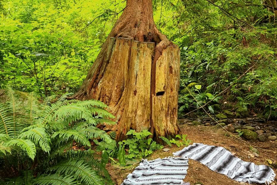 Campamentos de movimiento y mindfulness para niños inspirados en yoga y resiliencia