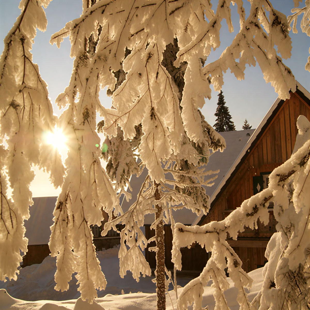 Retiro para parejas en Reinischkogel